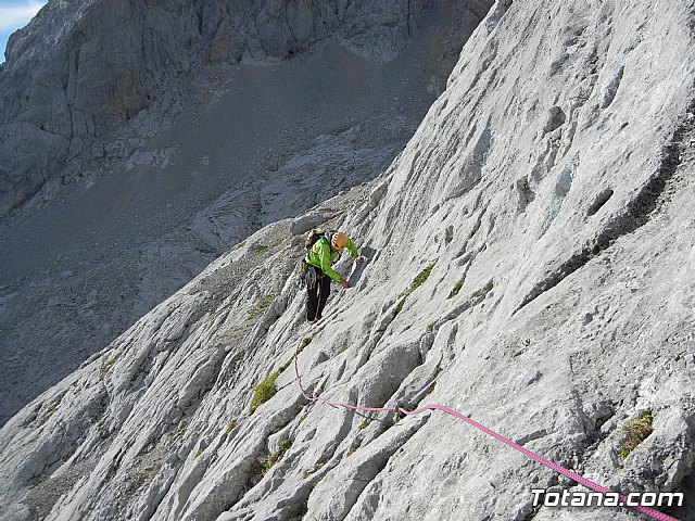 Dos totaneros y un alhameo coronan el PICU URRIELLU, Naranjo de Bulnes - 10