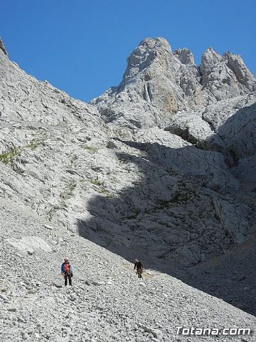 Dos totaneros y un alhameo coronan el PICU URRIELLU, Naranjo de Bulnes - 19