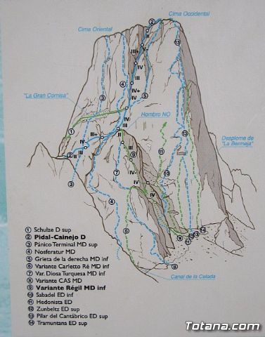 Dos totaneros y un alhameo coronan el PICU URRIELLU, Naranjo de Bulnes - 26