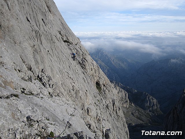 Dos totaneros y un alhameo coronan el PICU URRIELLU, Naranjo de Bulnes - 29