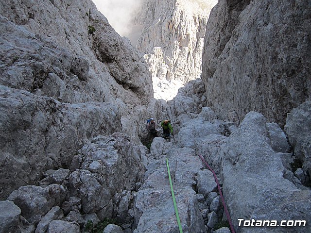 Dos totaneros y un alhameo coronan el PICU URRIELLU, Naranjo de Bulnes - 36