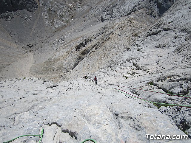Dos totaneros y un alhameo coronan el PICU URRIELLU, Naranjo de Bulnes - 41