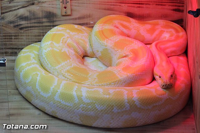 Mercado de Navidad 2014 - 5