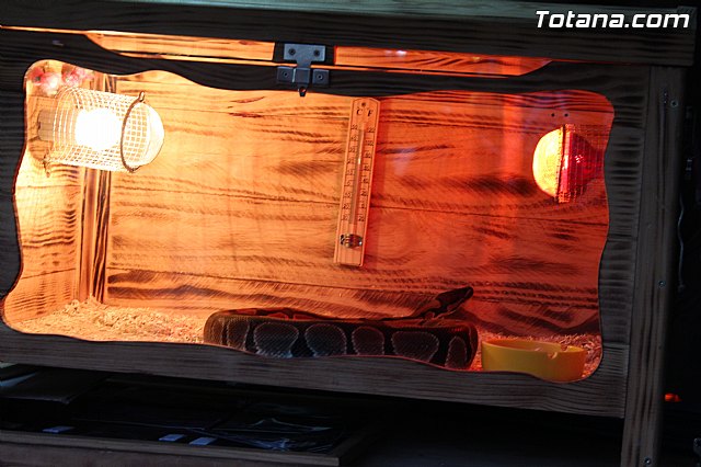 Mercado de Navidad 2014 - 6