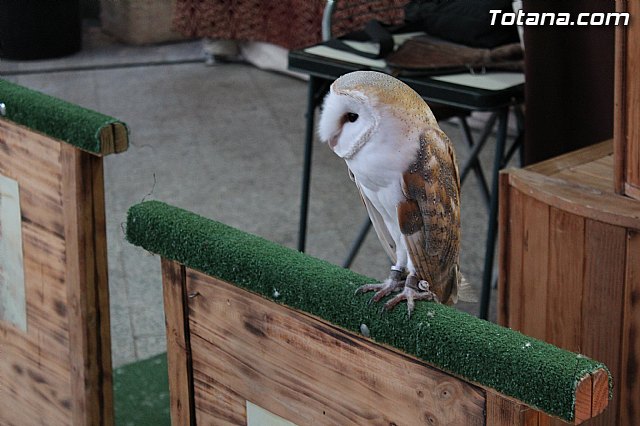 Mercado de Navidad 2014 - 8