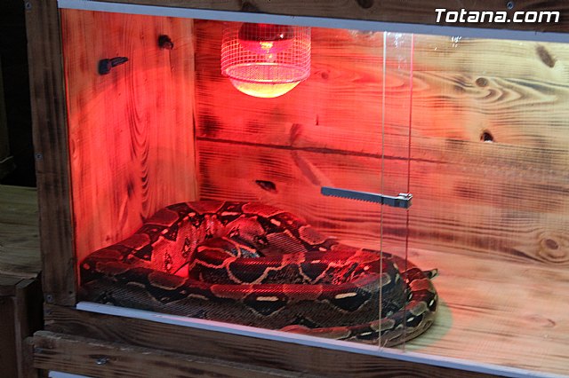 Mercado de Navidad 2014 - 9