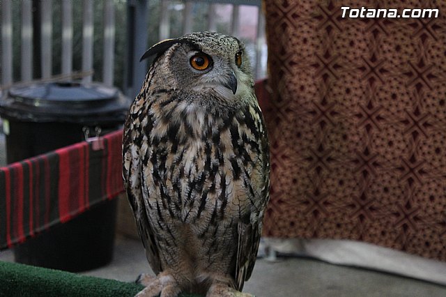 Mercado de Navidad 2014 - 11