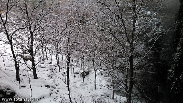 El club senderista realiz tres rutas donde la nieve fue la gran protagonista - 73