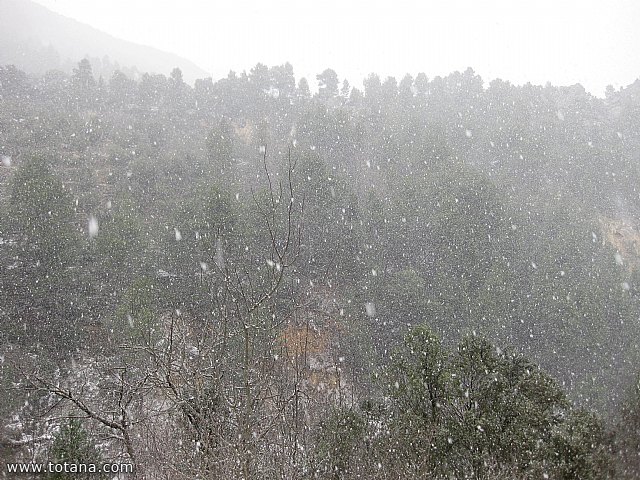 El club senderista realiz tres rutas donde la nieve fue la gran protagonista - 105