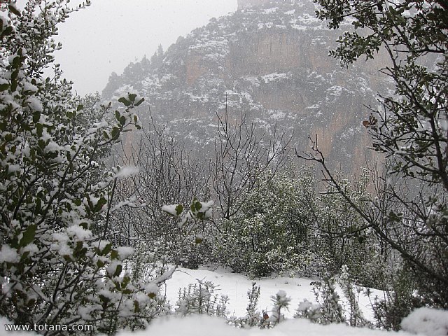 El club senderista realiz tres rutas donde la nieve fue la gran protagonista - 121