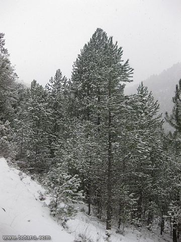 El club senderista realiz tres rutas donde la nieve fue la gran protagonista - 137