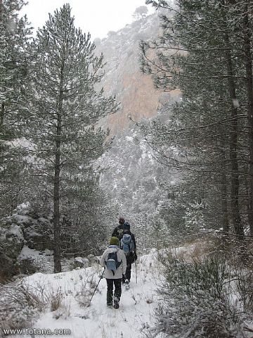 El club senderista realiz tres rutas donde la nieve fue la gran protagonista - 138