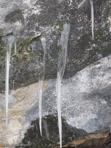 El club senderista realiz tres rutas donde la nieve fue la gran protagonista - 147