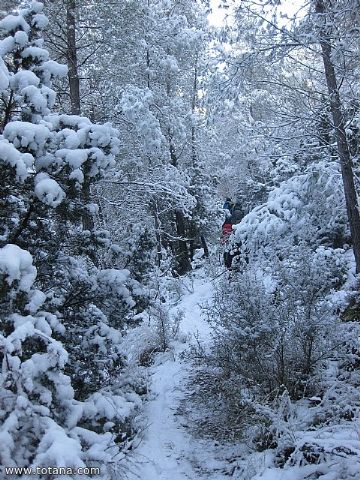 El club senderista realiz tres rutas donde la nieve fue la gran protagonista - 155