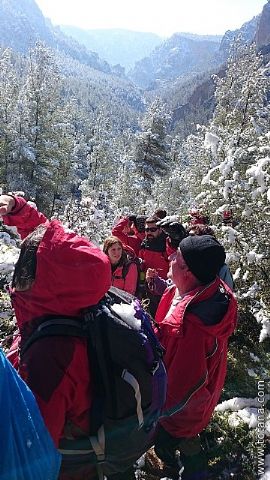 El club senderista realiz tres rutas donde la nieve fue la gran protagonista - 186