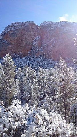 El club senderista realiz tres rutas donde la nieve fue la gran protagonista - 189