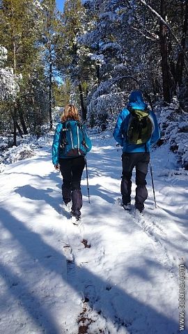 El club senderista realiz tres rutas donde la nieve fue la gran protagonista - 196
