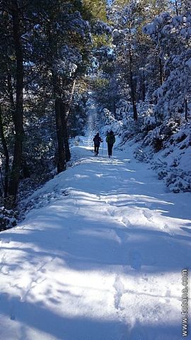 El club senderista realiz tres rutas donde la nieve fue la gran protagonista - 197