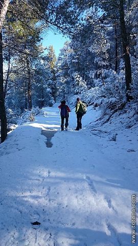 El club senderista realiz tres rutas donde la nieve fue la gran protagonista - 198