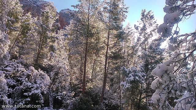 El club senderista realiz tres rutas donde la nieve fue la gran protagonista - 205