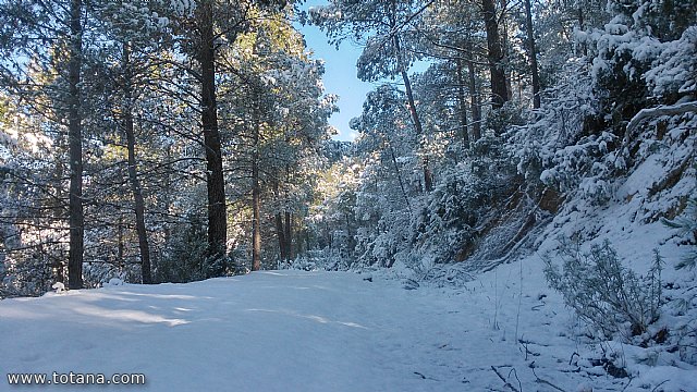 El club senderista realiz tres rutas donde la nieve fue la gran protagonista - 211
