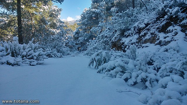 El club senderista realiz tres rutas donde la nieve fue la gran protagonista - 212