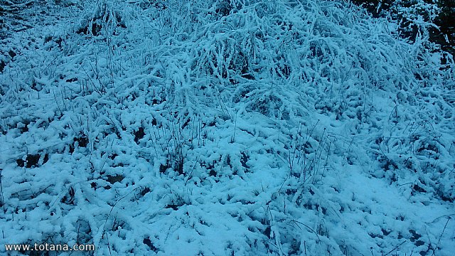 El club senderista realiz tres rutas donde la nieve fue la gran protagonista - 220