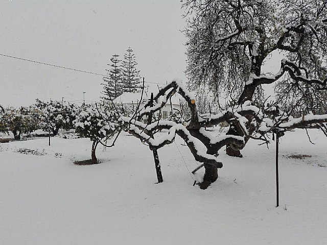 Nevada en Totana - 18 de enero de 2017 - 270