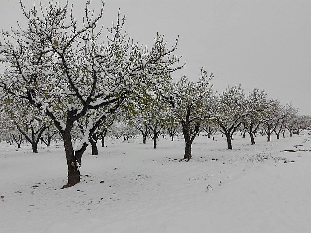 Nevada en Totana - 18 de enero de 2017 - 272