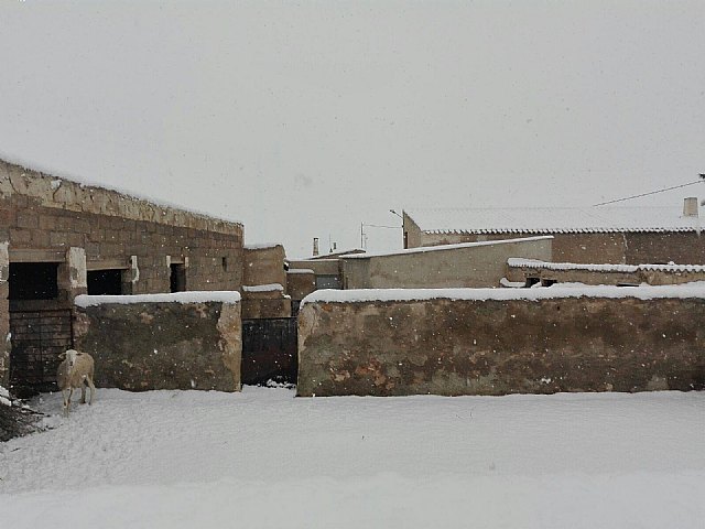 Nevada en Totana - 18 de enero de 2017 - 273