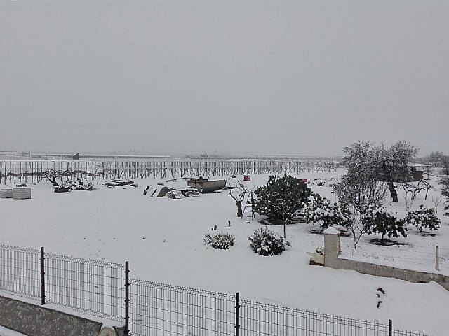 Nevada en Totana - 18 de enero de 2017 - 276