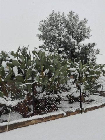 Nevada en Totana - 18 de enero de 2017 - 277
