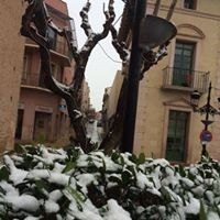 Nevada en Totana - 18 de enero de 2017 - 382