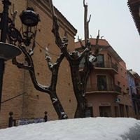 Nevada en Totana - 18 de enero de 2017 - 383