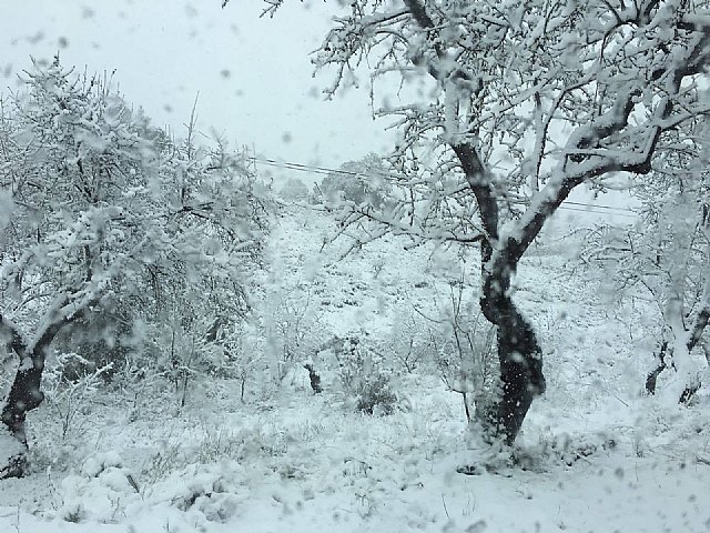 Nevada en Totana - 18 de enero de 2017 - 385