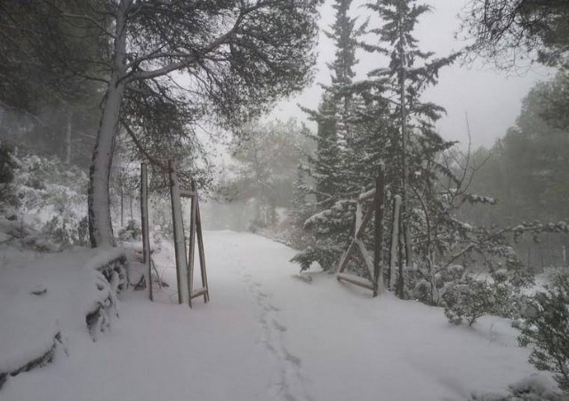 Nevada en Totana - 18 de enero de 2017 - 394