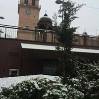 Nevada en Totana - 18 de enero de 2017 - 398
