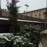 Nevada en Totana - 18 de enero de 2017 - 402