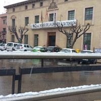 Nevada en Totana - 18 de enero de 2017 - 404