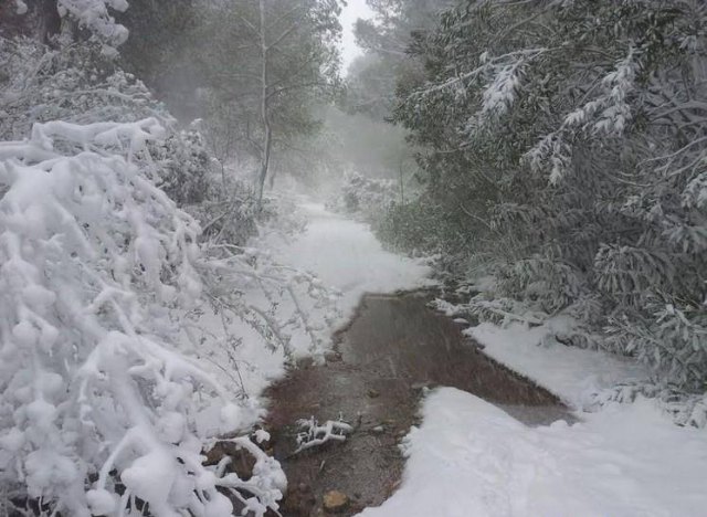 Nevada en Totana - 18 de enero de 2017 - 407