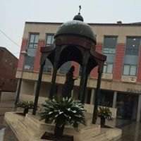 Nevada en Totana - 18 de enero de 2017 - 410