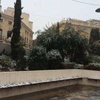 Nevada en Totana - 18 de enero de 2017 - 411