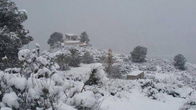 Nevada en Totana - 18 de enero de 2017 - 417
