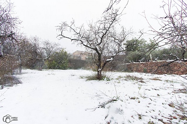 Nevada en Totana - 18 de enero de 2017 - 425