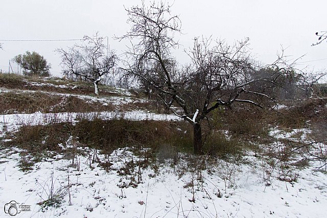 Nevada en Totana - 18 de enero de 2017 - 428