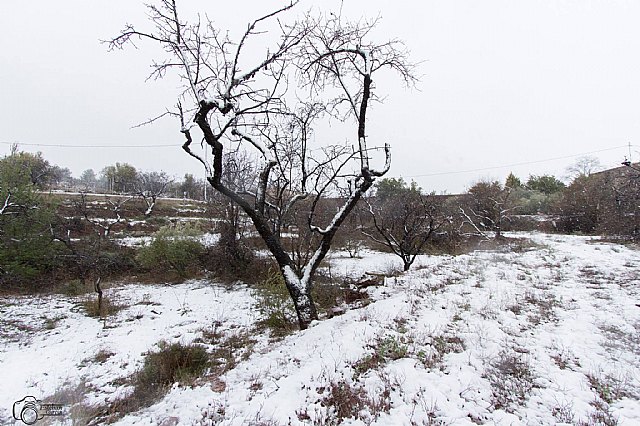 Nevada en Totana - 18 de enero de 2017 - 433