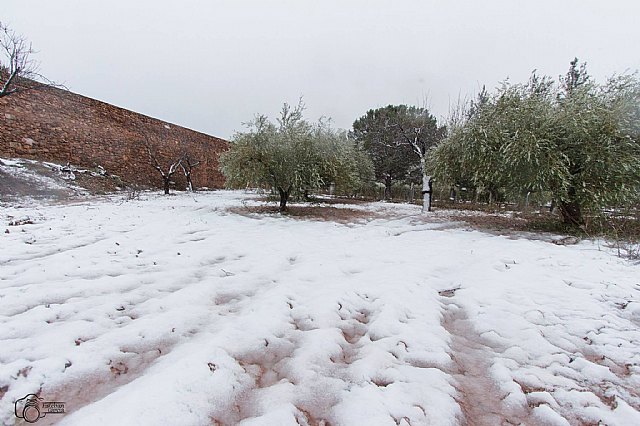 Nevada en Totana - 18 de enero de 2017 - 434