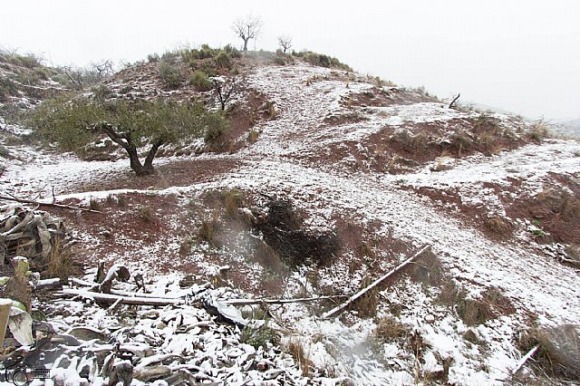 Nevada en Totana - 18 de enero de 2017 - 436