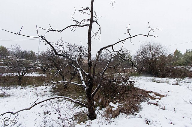 Nevada en Totana - 18 de enero de 2017 - 438