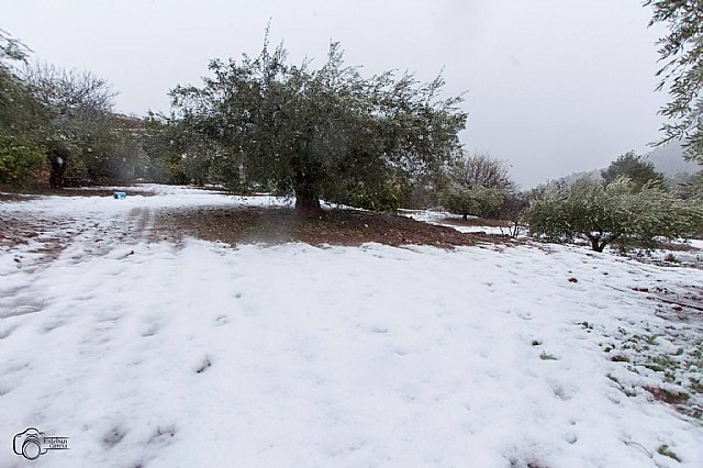 Nevada en Totana - 18 de enero de 2017 - 439